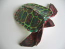 tortue-1